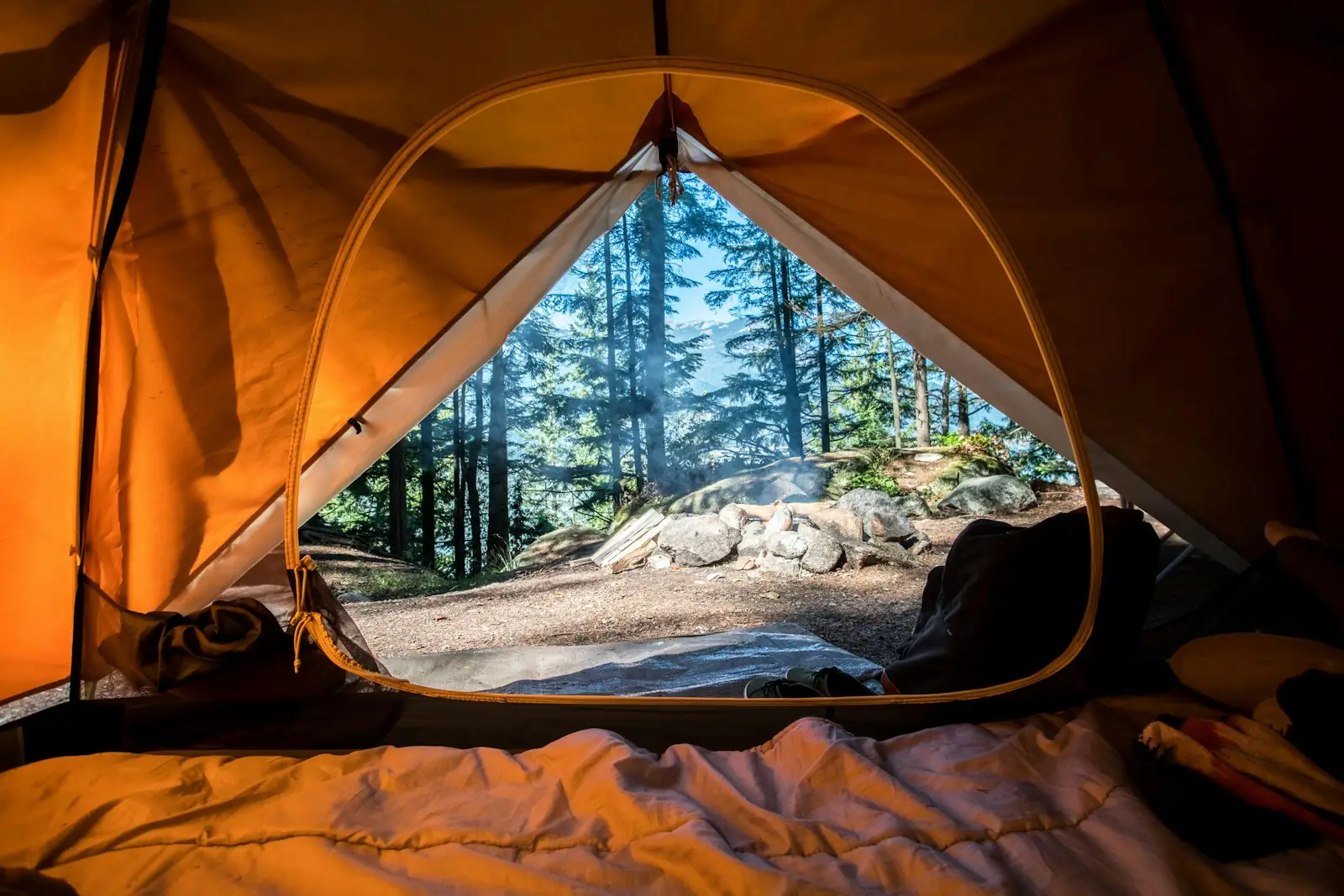Orange tent among green trees